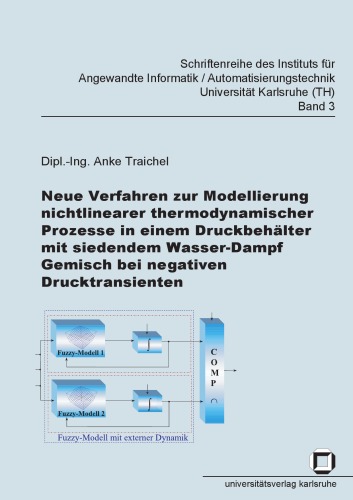 Neue Verfahren zur Modellierung nichtlinearer thermodynamischer Prozesse in einem Druckbehalter mit siedendem Wasser-Dam  German