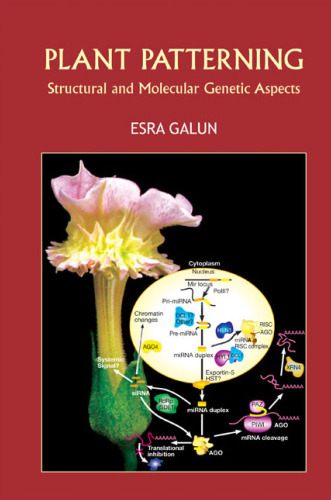 Plant Patterning: Structural and Molecular Genetic Aspects