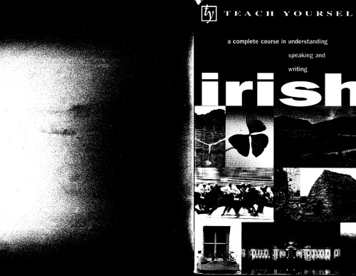 Teach Yourself Irish (Teach Yourself Complete Courses)