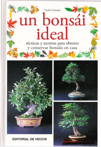 Un Bonsai Ideal