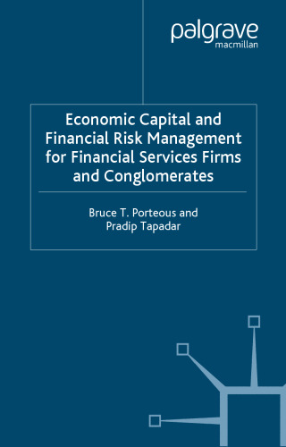 Economic Capital and Financial Risk Management for Financial Services Firms and Conglomerates (Finance and Capital Markets)