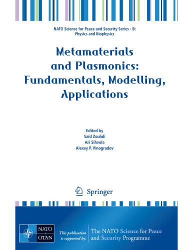 Metamaterials and Plasmonics: Fundamentals, Modelling, Applications (NATO Science for Peace and Security Series B: Physics and Biophysics)