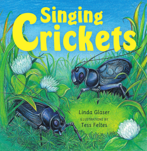 Singing Crickets