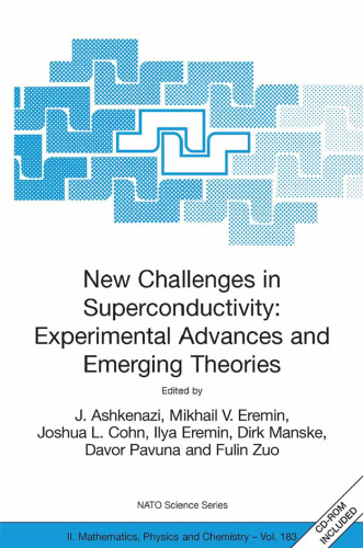 New Challenges in Superconductivity: Experimental Advances and Emerging Theories: Proceedings of the NATO Advanced Research Workshop, held in Miami, Florida, ... II: Mathematics, Physics and Chemistry)