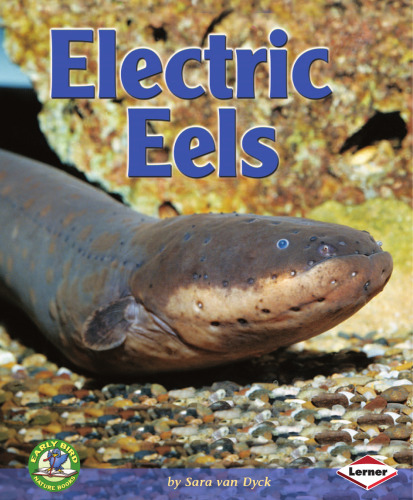 Electric Eels (Early Bird Nature Books)