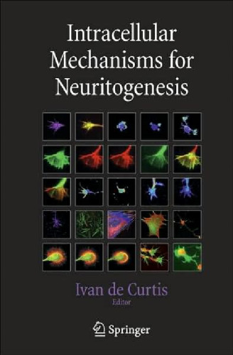 Intracellular Mechanisms for Neuritogenesis