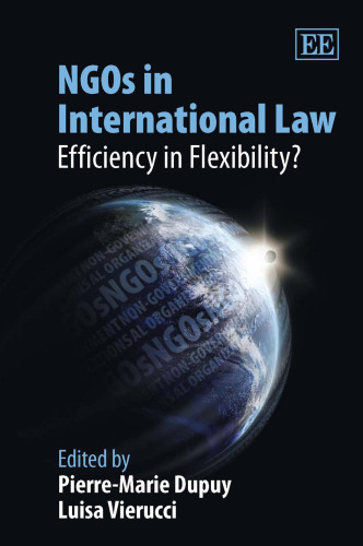 NGOs in International Law: Efficiency in Flexibility?