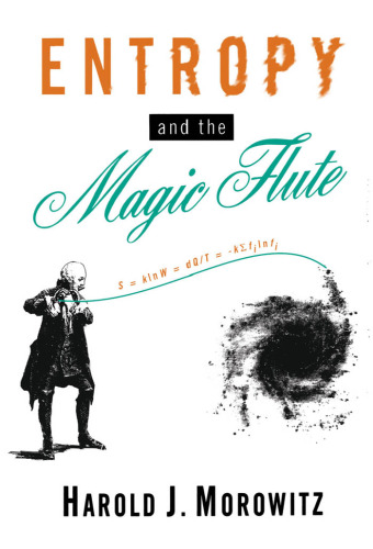 Entropy and the Magic Flute