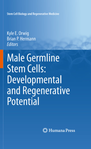 Male Germline Stem Cells: Developmental and Regenerative Potential