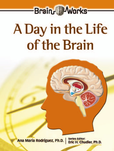 A Day in the Life of the Brain (Brain Works)