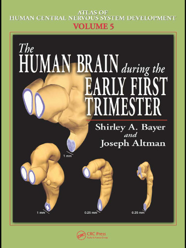 The Human Brain During the Early First Trimester (Atlas of Human Central Nervous System Development)