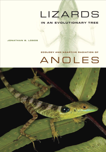 Lizards in an Evolutionary Tree: Ecology and Adaptive Radiation of Anoles (Organisms and Environments)