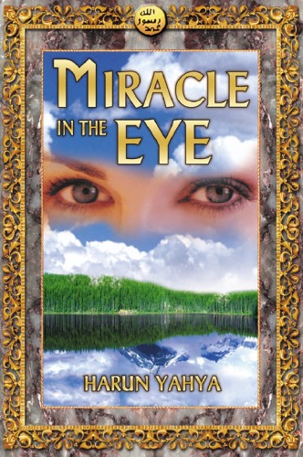 Miracle in the Eye