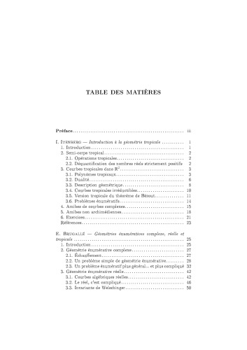 Géométrie tropicale : Journées Mathématiques X-UPS 2008