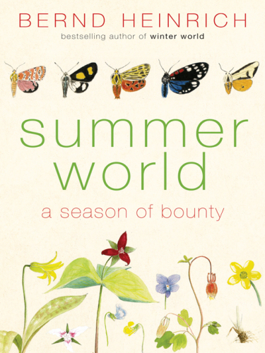 Summer World: A Season of Bounty (P.S.)