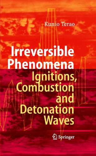 Irreversible Phenomena - Ignitions, Combustion and Detonation Waves