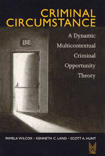 Criminal Circumstance (New Lines in Criminology)