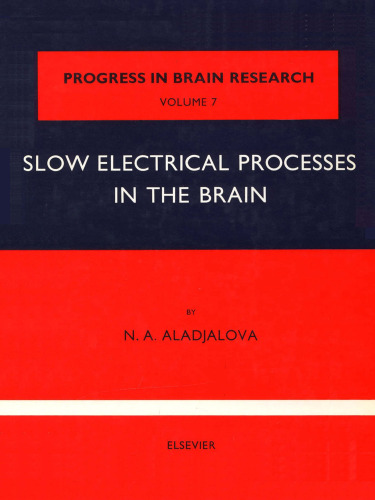 Slow Electrical Processes in The Brain