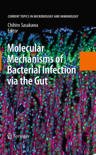 Molecular Mechanisms of Bacterial Infection via the Gut