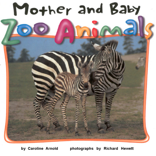 Mother and Baby Zoo Animals (Zoo Animals (Abdo))