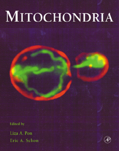 Mitochondria