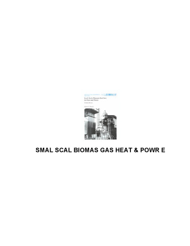 Small-Scale Biomass Gasifiers for Heat and Power: A Global Review (World Bank Technical Paper)