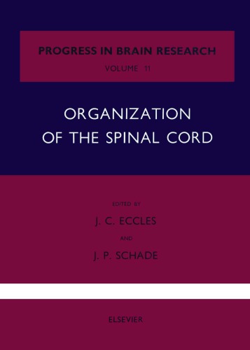 Organization of the Spinal Cord