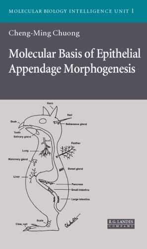 Molecular Basis Of Epithelial Appendage Morphogenesis (Molecular Biology Intelligence Unit)