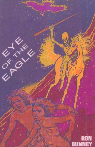 Eye of the Eagle