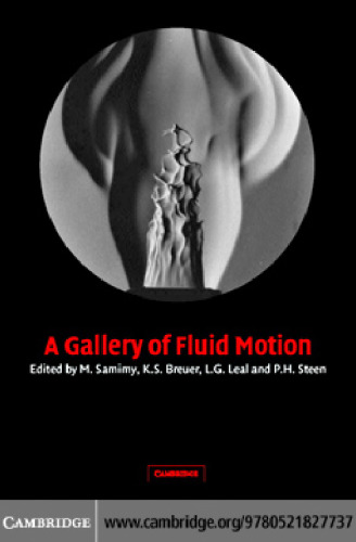 A Gallery of Fluid Motion