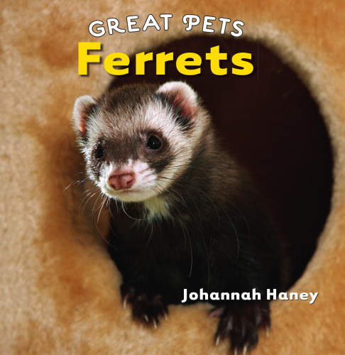 Ferrets (Great Pets)