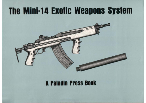 Mini-14 Exotic Weapons System