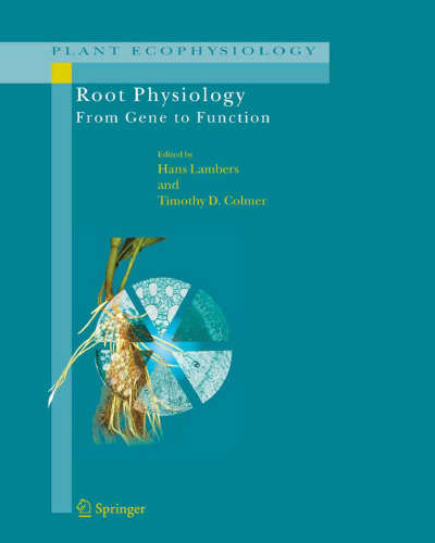 Root Physiology: from Gene to Function (Plant Ecophysiology, Volume 4)