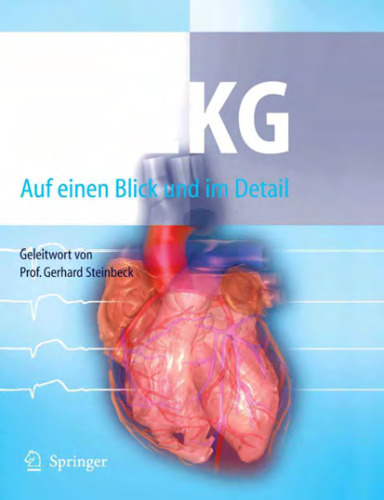 Das EKG: Auf einen Blick und im Detail