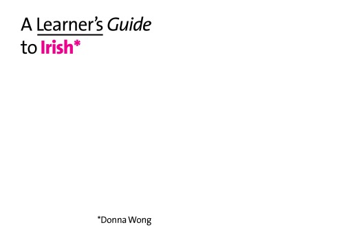 A Learner's Guide to Irish