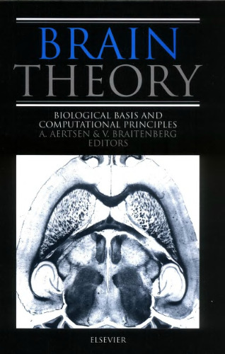 Brain theory
