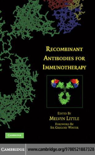 Recombinant antibodies for immunotherapy