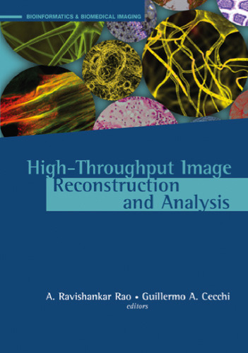 High-throughput image reconstruction and analysis