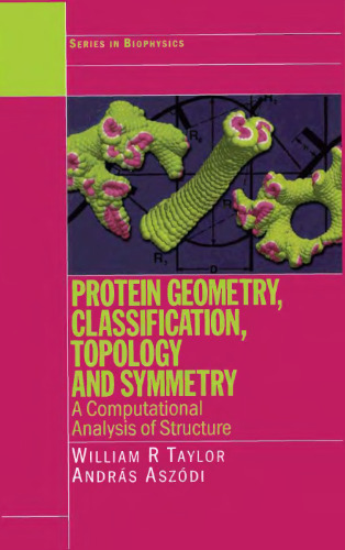 Protein geometry, classification, topology and symmetry: A computational analysis