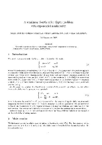 A semilinear fourth order elliptic problem with exponential nonlinearity