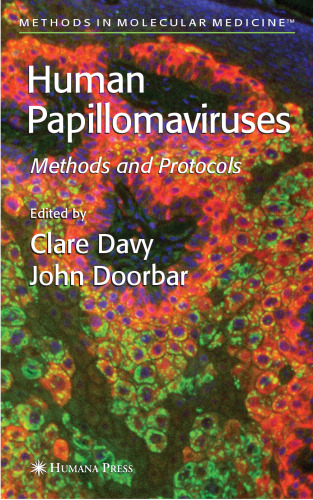 Human Papillomaviruses: Methods and Protocols (Methods in Molecular Biology)