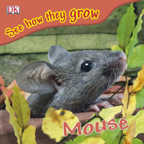 Mouse (See How They Grow)