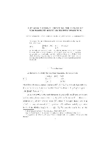 A strong maximum principle for a class of non-positone singular elliptic problems