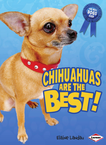 Chihuahuas Are the Best! (The Best Dogs Ever)