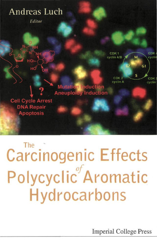 The Carcinogenic Effects of Polycyclic Aromatic Hydrocarbons