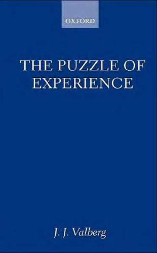 The Puzzle of Experience