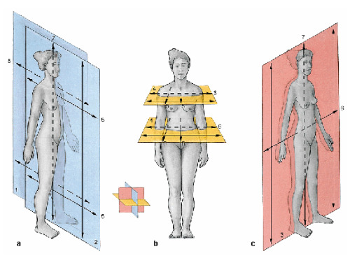 Sobotta: Atlas de Anatomia Humana  21 ed.