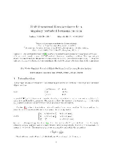 Multidimensional boundary-layers for a singularly perturbed Neumann problem