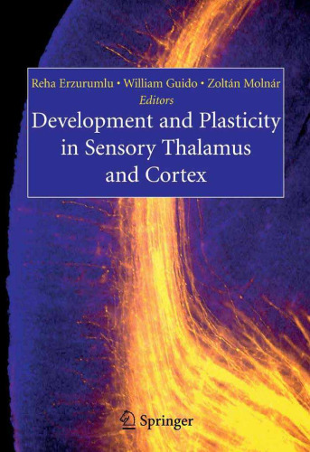 Development and Plasticity in Sensory Thalamus and Cortex