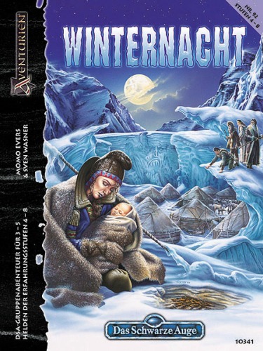 Winternacht (Das Schwarze Auge)